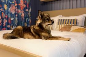 JOST Hôtel Le Havre - photo 7